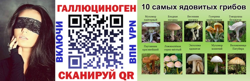 KRAKEN   Михайлов  Галлюциногенные грибы мухоморы 